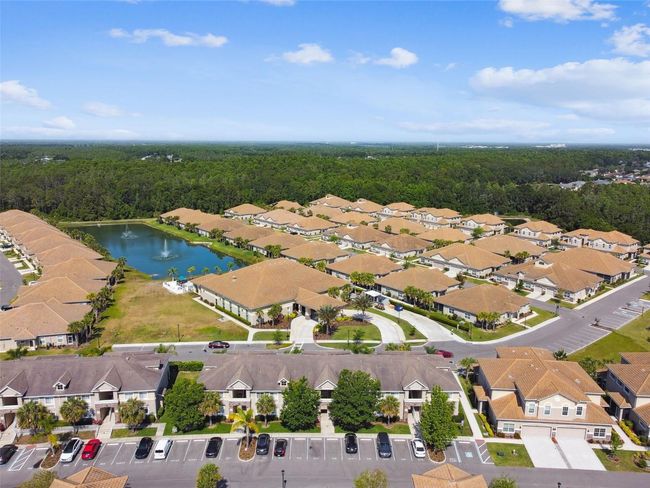 Aerial view of the community | Image 74