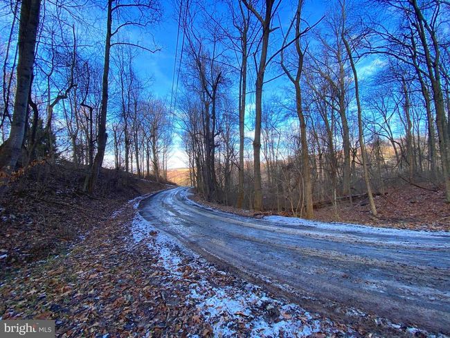00 Hickory Tree Rd, Home with 0 bedrooms, 0 bathrooms and null parking in FRONT ROYAL VA | Image 20