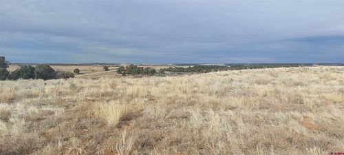 14134 Road N.3, Cahone, CO, 81320 | Card Image