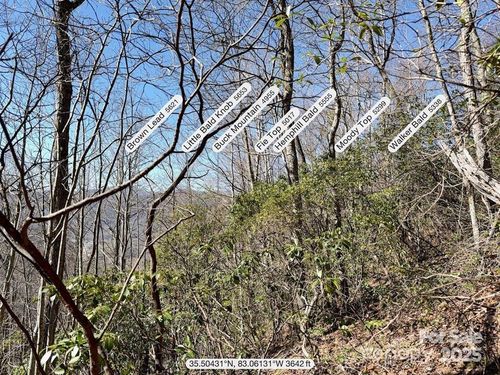 0000 Eagle Roost Rd, Maggie Valley, NC, 28751 | Card Image