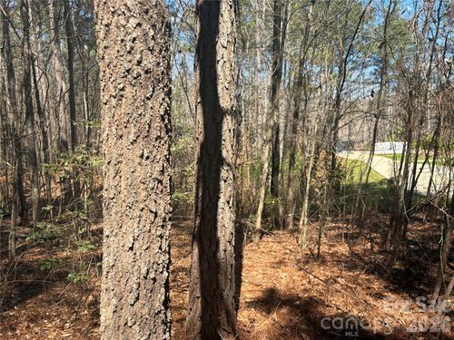 1403 Ron Whicker Drive, Catawba, NC, 28609 | Card Image