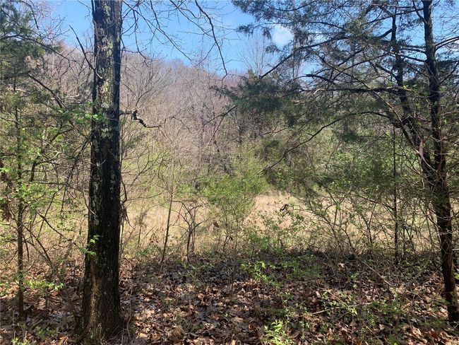 View of 3 acre field | Image 4