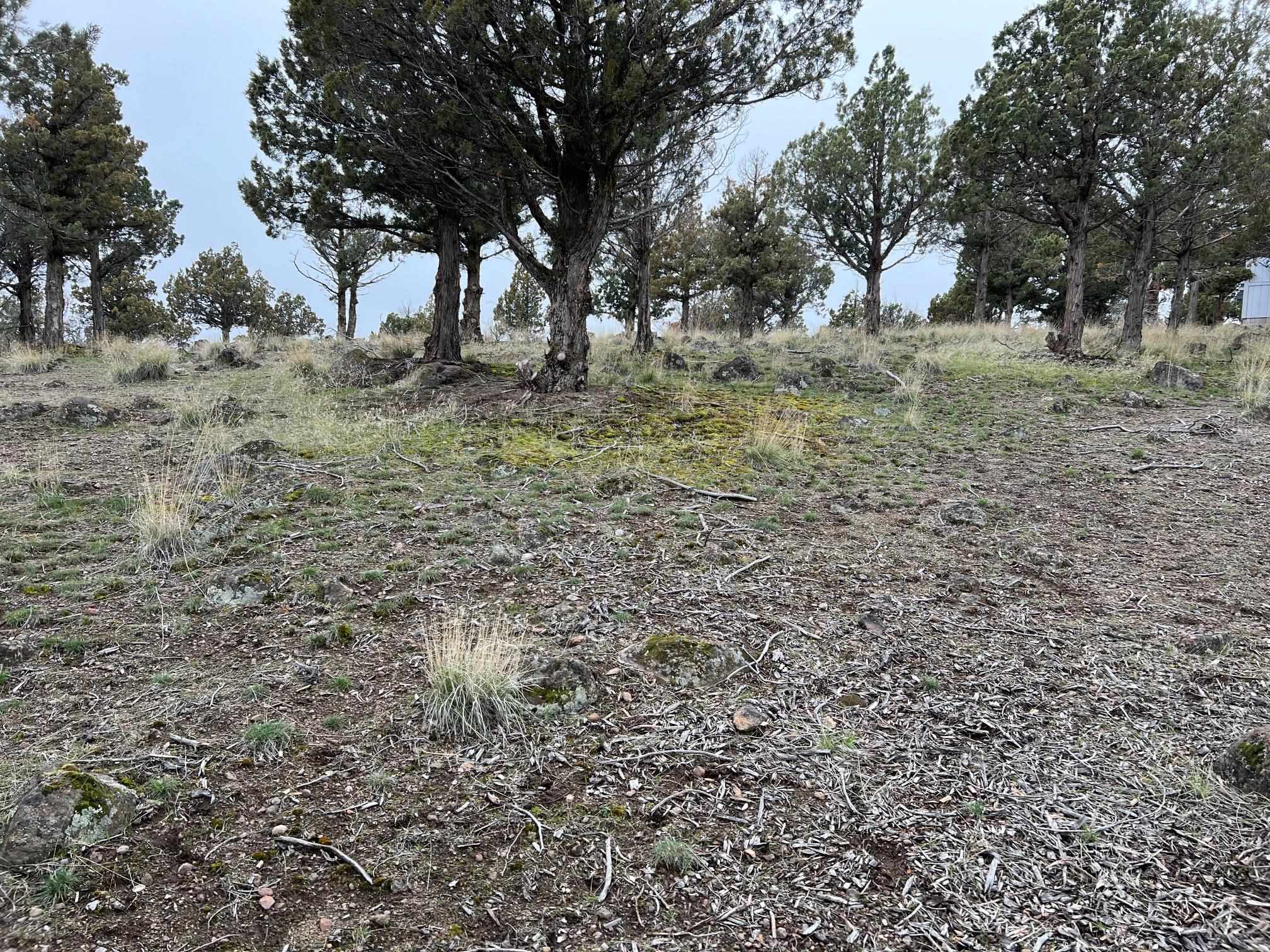 Land in Weed 3