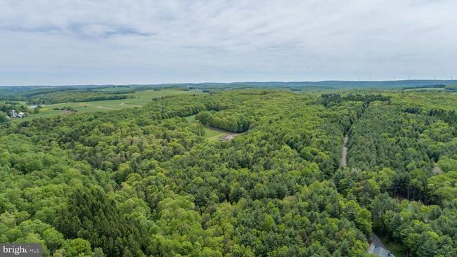 532 Pine Grove Rd, House other with 4 bedrooms, 4 bathrooms and null parking in LONACONING MD | Image 85