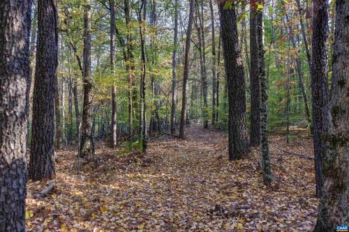 LOT B Link Evans Ln, EARLYSVILLE, VA, 22936 | Card Image