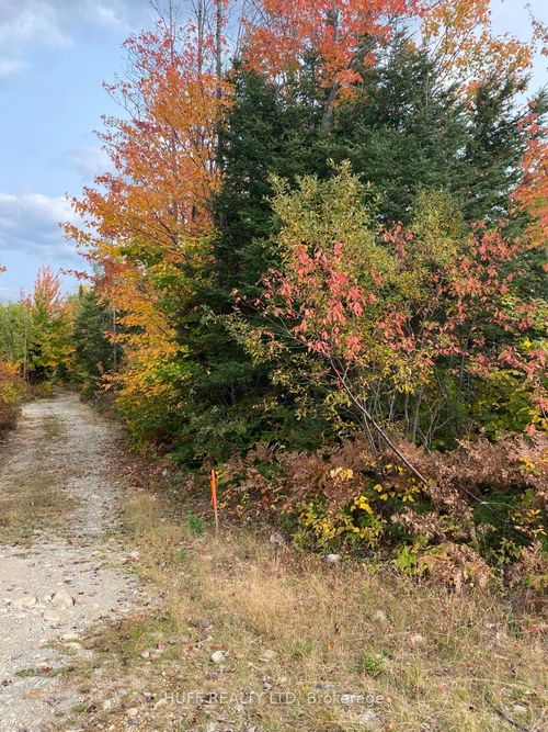 L1C1 54r-6371 Catharine Road, Englehart, ON, P0J1H0 | Card Image