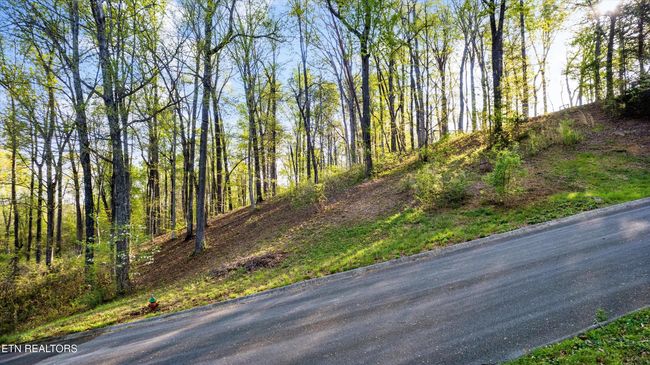 39 Apple Tree Dr, Home with 0 bedrooms, 0 bathrooms and null parking in Clinton TN | Image 5