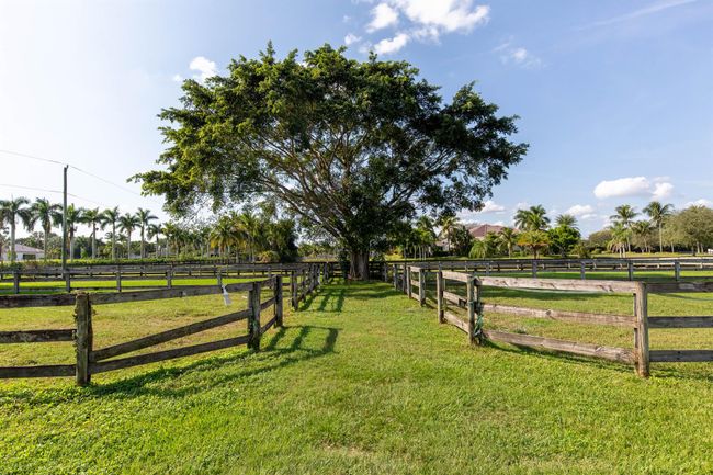 15360 Estancia Lane, House other with 3 bedrooms, 2 bathrooms and null parking in Wellington FL | Image 62