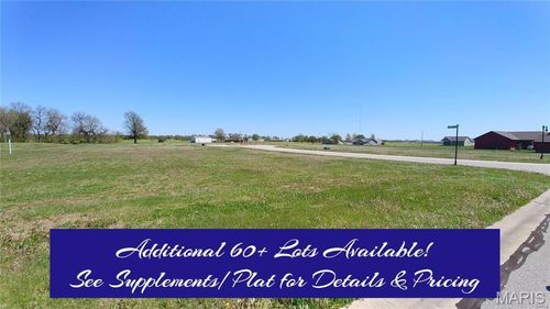 16743 Ashland Ct, Carlyle, IL, 62231-6642 | Card Image