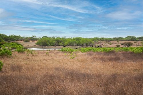TBD S Dibrell St, Orange Grove, TX, 78372 | Card Image