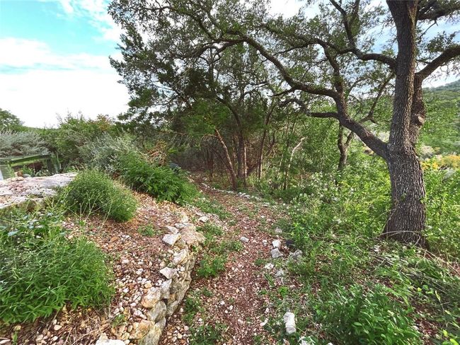 View of local wilderness | Image 19