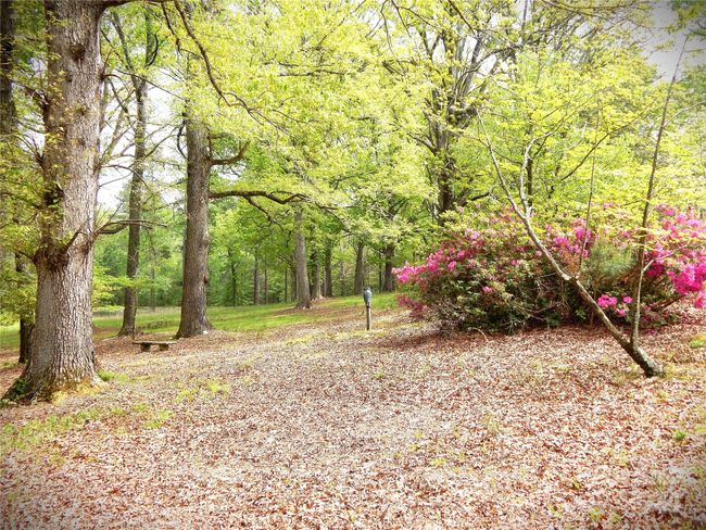 Looking toward Pond 2 | Image 20