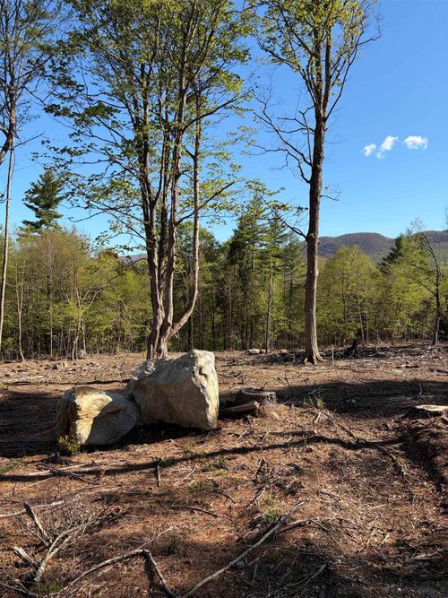 lot B Frost Pond Rd, Dorset, VT, 05251 | Card Image