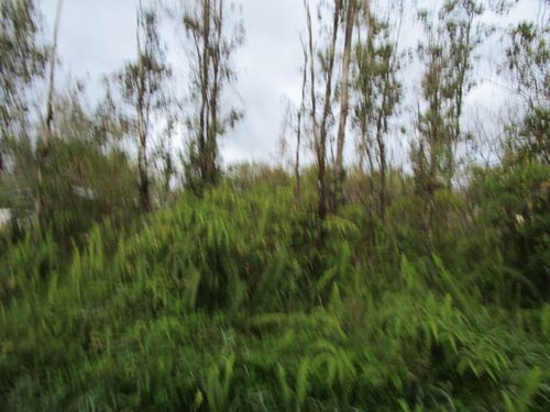 16-1948 Sandalwood Ct, KURTISTOWN, HI, 96760 | Card Image