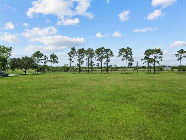 0000 County Road 65, Home with 0 bedrooms, 0 bathrooms and null parking in Rosharon TX | Image 5