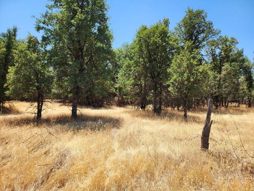 0000 Evergreen Rd, Cottonwood, CA, 96022 | Card Image