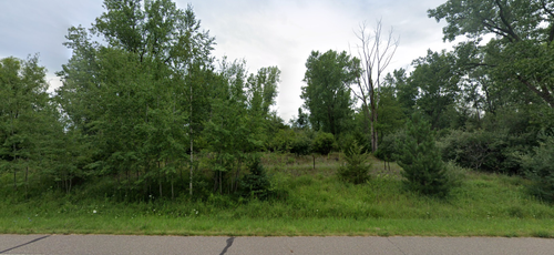 VL W Saginaw, Vassar Township, MI, 48768 | Card Image