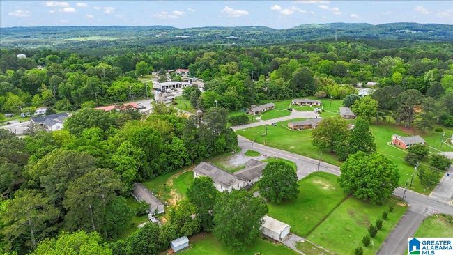 117 Trafford Rd, Home with 1 bedrooms, 5 bathrooms and null parking in WARRIOR AL | Image 32