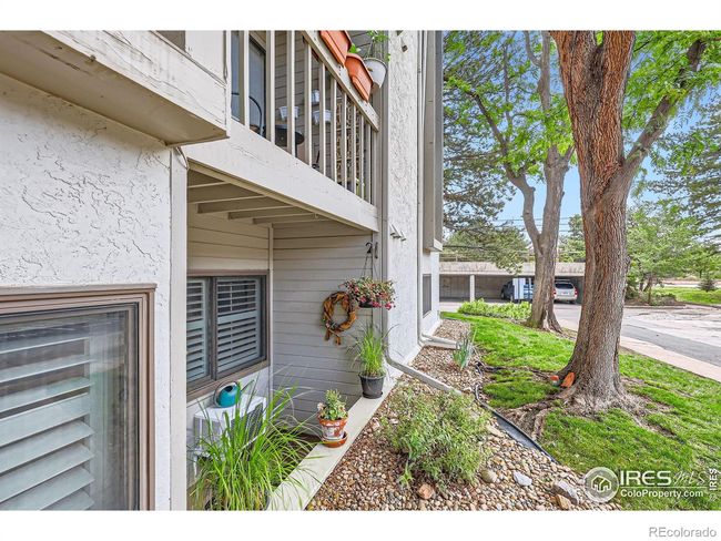 South-facing, garden-level patio | Image 21