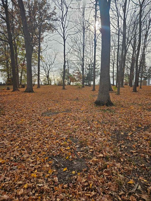 2203 Gainsboro Ave, DAVIS, IL, 61019-9449 | Card Image