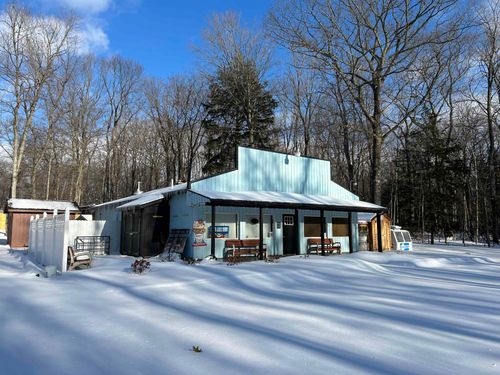 8294 Deadstream Rd, Honor, MI, 49640-9778 | Card Image