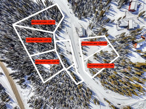 513 Carroll Ln, BRECKENRIDGE, CO, 80424 | Card Image