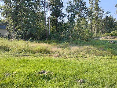 TBD Cattle Dr, Onalaska, TX, 77360 | Card Image