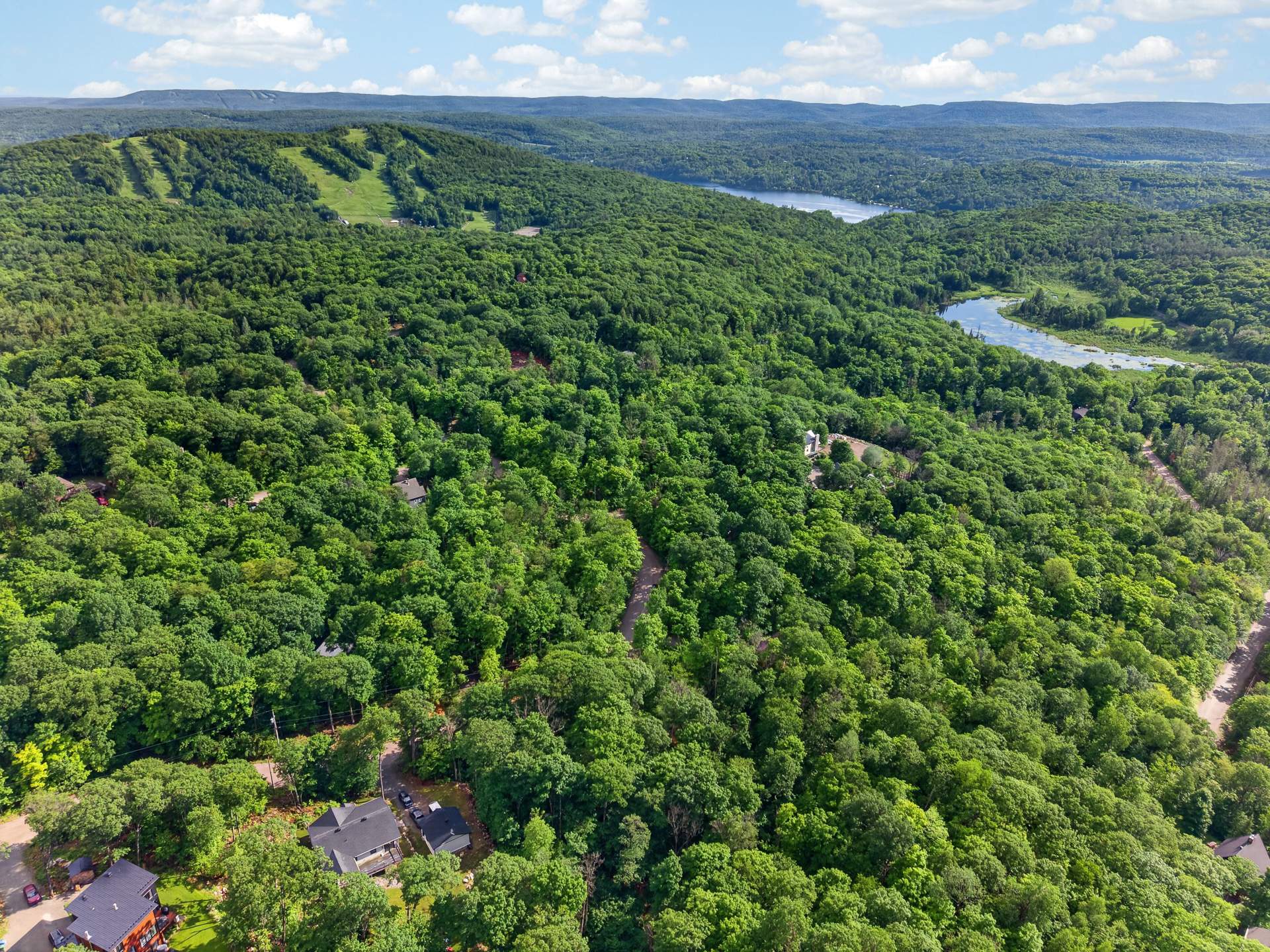 Land in Cantley 4