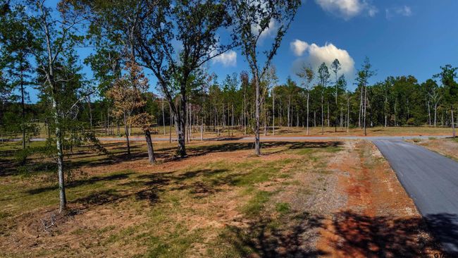 15588 Aniston Ln, Home with 0 bedrooms, 0 bathrooms and null parking in Flint TX | Image 8