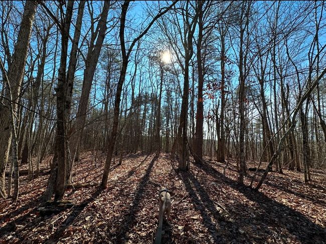 0 Middle Ridge Rd, Home with 0 bedrooms, 0 bathrooms and null parking in Beersheba Springs TN | Image 10