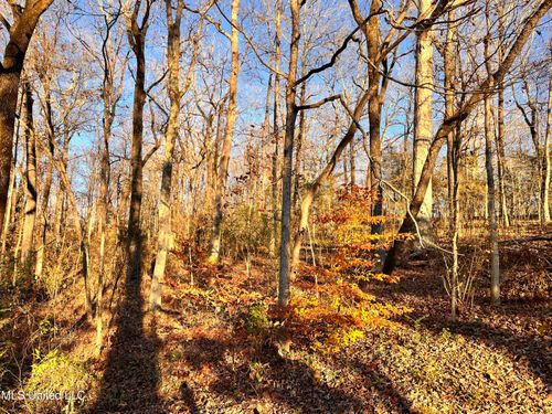 0 Snow Lake Dr, Ashland, MS, 38603 | Card Image