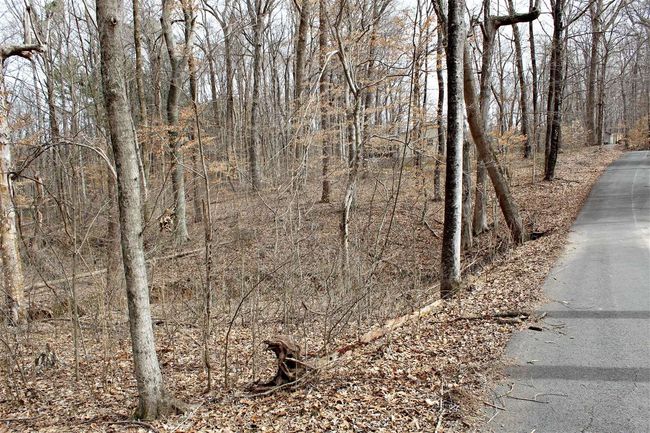 Lot 8 Yacht Club Rd, Home with 0 bedrooms, 0 bathrooms and null parking in Scottsville KY | Image 5