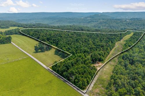 82 AC Linder Mountain Rd, Livingston, TN, 38570 | Card Image