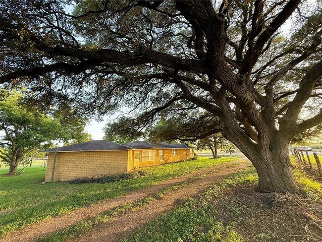 Charming single-story home with a cozy brick exterior, a small covered porch, and manicured bushes. Surrounded by lush greenery, it offers a serene and inviting atmosphere. | Image 23