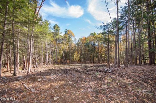 103a Sandhill Rd, Greenfield Center, NY, 12833-1207 | Card Image