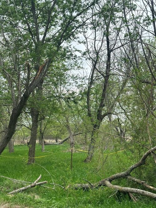 4102 Lower Dr, Austin, TX, 78725 | Card Image