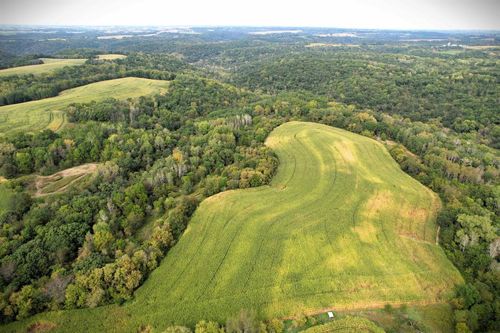 102 +/- Acres N Buck Creek Road, FREEMAN, WI, 54628 | Card Image