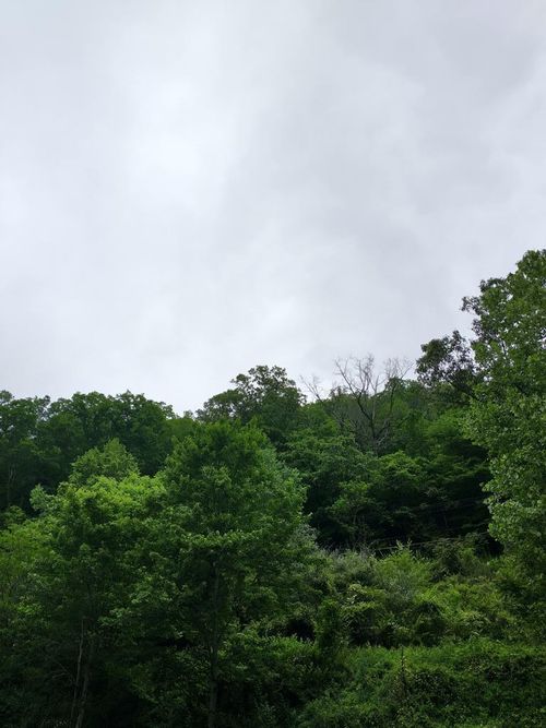 186 Old Davy Rd, Davy, WV, 24828 | Card Image