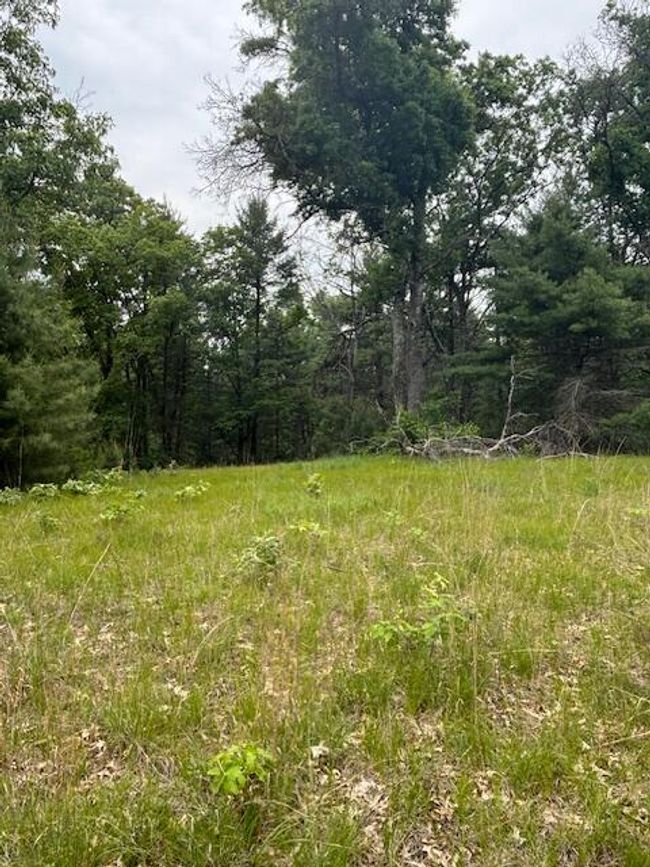 4901 S Spruce Ave, Home with 0 bedrooms, 0 bathrooms and null parking in Newaygo MI | Image 9