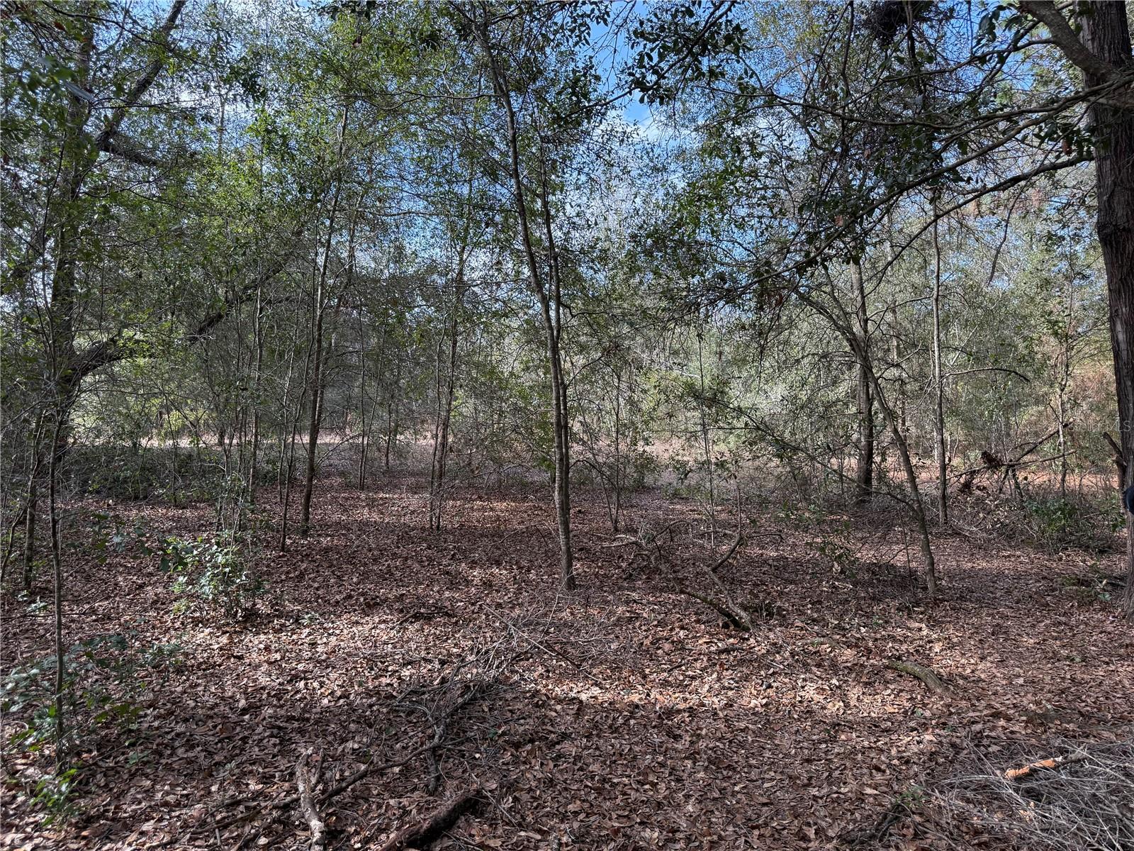 Land in BELLEVIEW 5