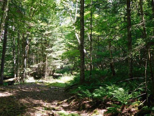 0 Clouthier Loop, Pittsburg, NH, 03592 | Card Image