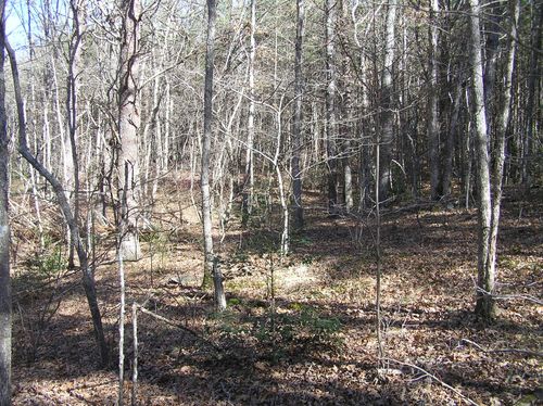 977 Spencer Dr, Spencer, TN, 38585-3212 | Card Image