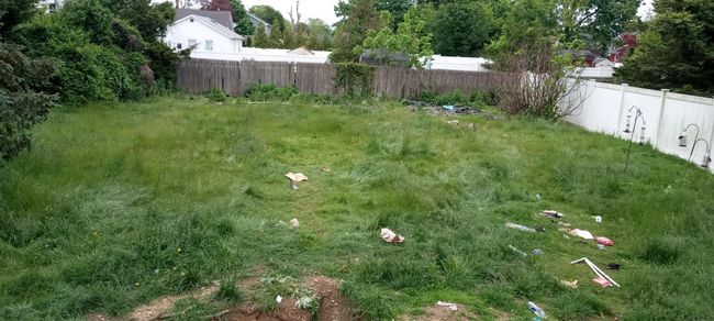View of yard | Image 22