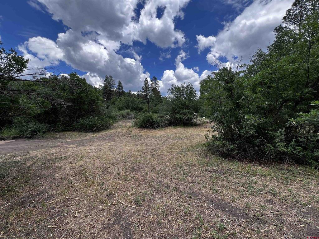 Land in Durango 5