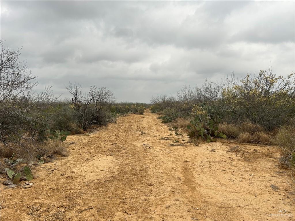 Land in San Ygnacio 3