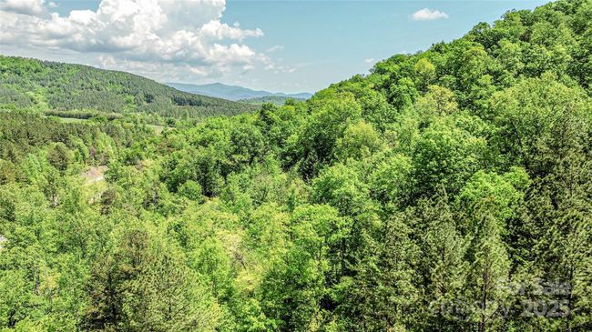 146 S Branch Dr, Home with 0 bedrooms, 0 bathrooms and null parking in Bostic NC | Image 22