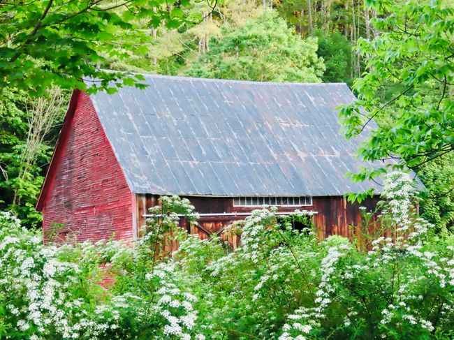 673 Route 121 E, House other with 5 bedrooms, 3 bathrooms and null parking in Grafton VT | Image 7