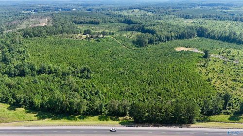 220 Acres on Reese Road, Hamilton, AL, 35570 | Card Image