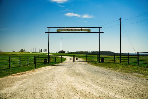 45 River Run Rd, Eureka Springs, AR, 72632-8883 | Card Image