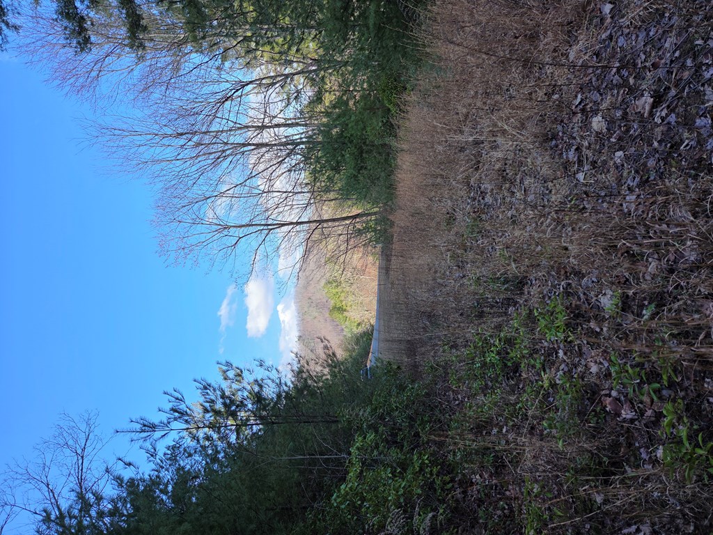 Land in Other 5